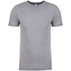 Abbigliamento Uomo T-shirts a maniche lunghe Next Level Tri-Blend Grigio
