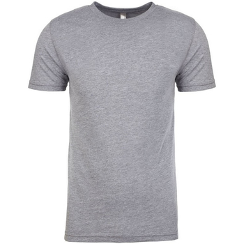 Abbigliamento Uomo T-shirts a maniche lunghe Next Level NX6010 Grigio