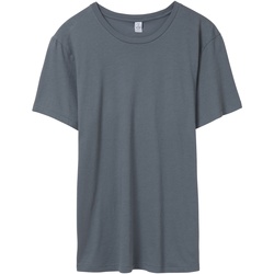 Abbigliamento Uomo T-shirts a maniche lunghe Alternative Apparel AT015 Grigio