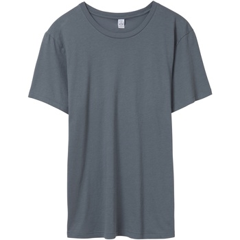 Abbigliamento Uomo T-shirts a maniche lunghe Alternative Apparel AT015 Grigio