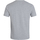 Abbigliamento Uomo T-shirt & Polo Canterbury Club Grigio