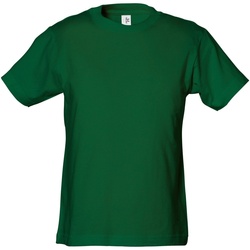 Abbigliamento Bambino T-shirt maniche corte Tee Jays Power Verde