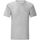 Abbigliamento Uomo T-shirts a maniche lunghe Fruit Of The Loom Iconic Grigio
