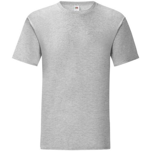 Abbigliamento Uomo T-shirts a maniche lunghe Fruit Of The Loom Iconic Grigio