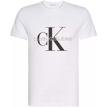 Abbigliamento Uomo T-shirt maniche corte Calvin Klein Jeans J30J320935 Bianco