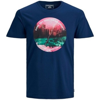 Abbigliamento Uomo T-shirt maniche corte Jack & Jones T-Shirt Uomo Urban Striche Blu