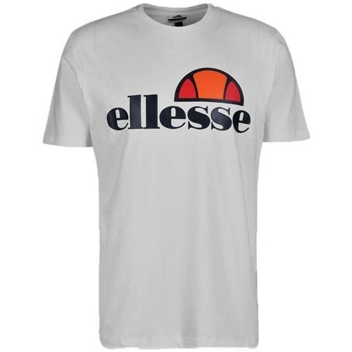 Abbigliamento Uomo T-shirt maniche corte Ellesse T-Shirt Uomo Rainbow Maxi Logo Grigio