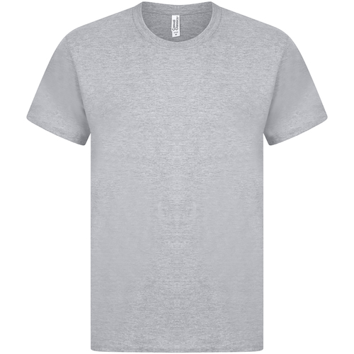 Abbigliamento Uomo T-shirts a maniche lunghe Casual Classics AB263 Grigio