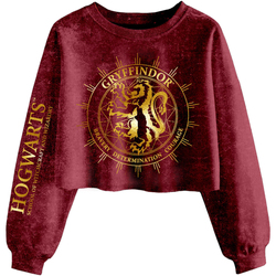 Abbigliamento Donna Felpe Harry Potter Gryffindor Constellation Multicolore