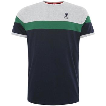 Abbigliamento Uomo T-shirts a maniche lunghe Liverpool Fc  Verde