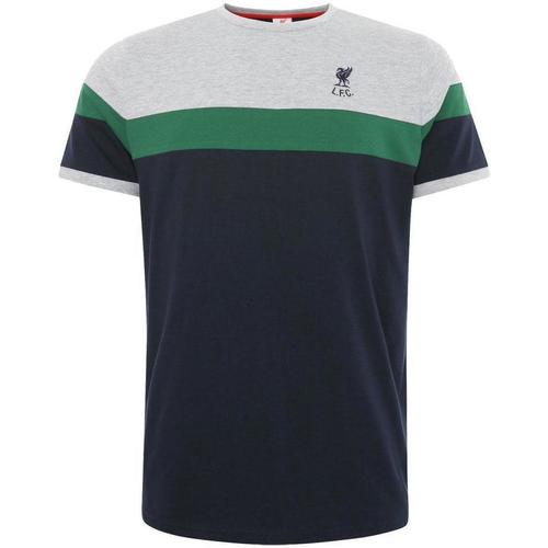 Abbigliamento Uomo T-shirts a maniche lunghe Liverpool Fc TA7880 Verde