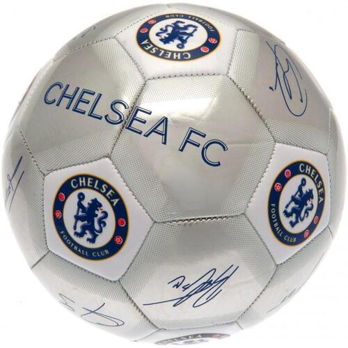 Accessori Accessori sport Chelsea Fc Signature Multicolore