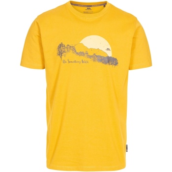 Abbigliamento Uomo T-shirts a maniche lunghe Trespass Bredonton Multicolore