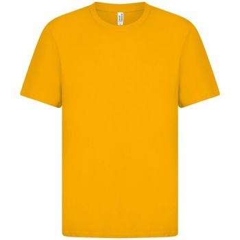 Abbigliamento Uomo T-shirts a maniche lunghe Casual Classics  Multicolore