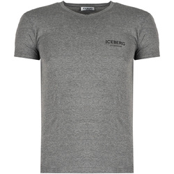 Abbigliamento Uomo T-shirt maniche corte Iceberg ICE1UTS02 Grigio