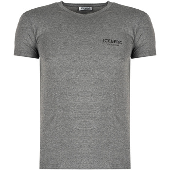 Abbigliamento Uomo T-shirt maniche corte Iceberg ICE1UTS02 Grigio