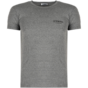 Abbigliamento Uomo T-shirt maniche corte Iceberg ICE1UTS01 Grigio