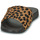 Scarpe Donna ciabatte FitFlop IQUSHION Leopard / Nero
