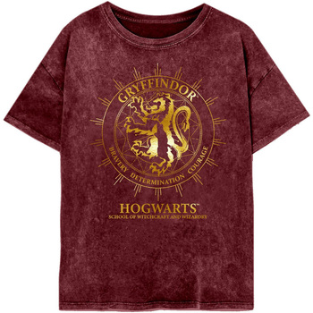 Abbigliamento Donna T-shirts a maniche lunghe Harry Potter  Multicolore