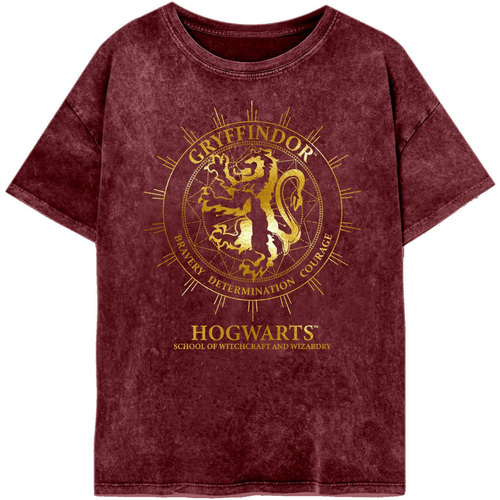 Abbigliamento Donna T-shirts a maniche lunghe Harry Potter Gryffindor Constellation Multicolore