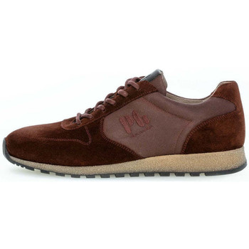 Scarpe Uomo Sneakers Pius Gabor 0496.10.04 Marrone