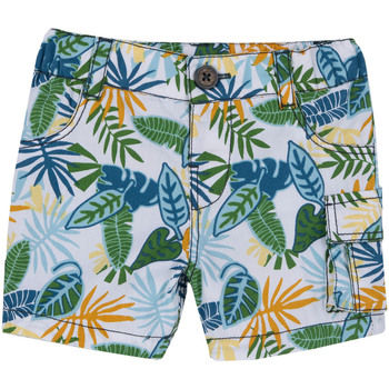 Abbigliamento Bambino Shorts / Bermuda Chicco 09000528000000 Verde