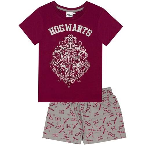 Abbigliamento Bambina Pigiami / camicie da notte Harry Potter NS6407 Multicolore