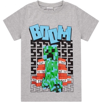 Abbigliamento Bambino T-shirt maniche corte Minecraft  Grigio