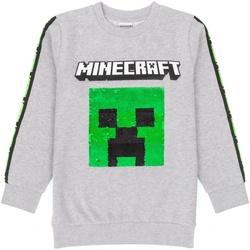 Abbigliamento Unisex bambino Felpe Minecraft NS6499 Grigio