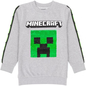 Abbigliamento Unisex bambino Felpe Minecraft  Grigio