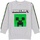 Abbigliamento Unisex bambino Felpe Minecraft NS6499 Grigio