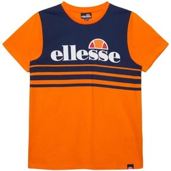 Abbigliamento Bambino T-shirt maniche corte Ellesse  Arancio