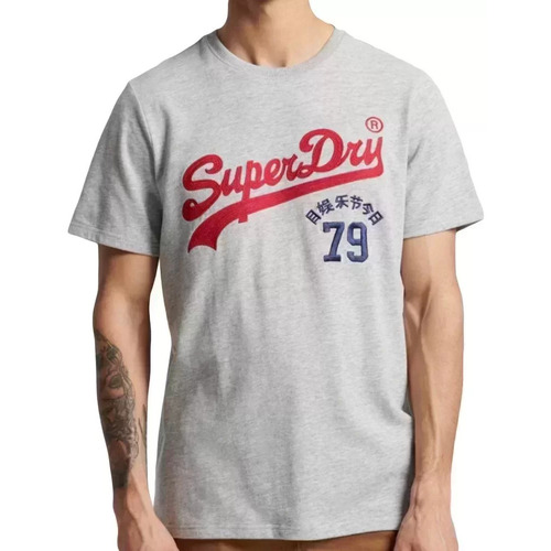 Abbigliamento Uomo T-shirt maniche corte Superdry Vintage logo interest Grigio