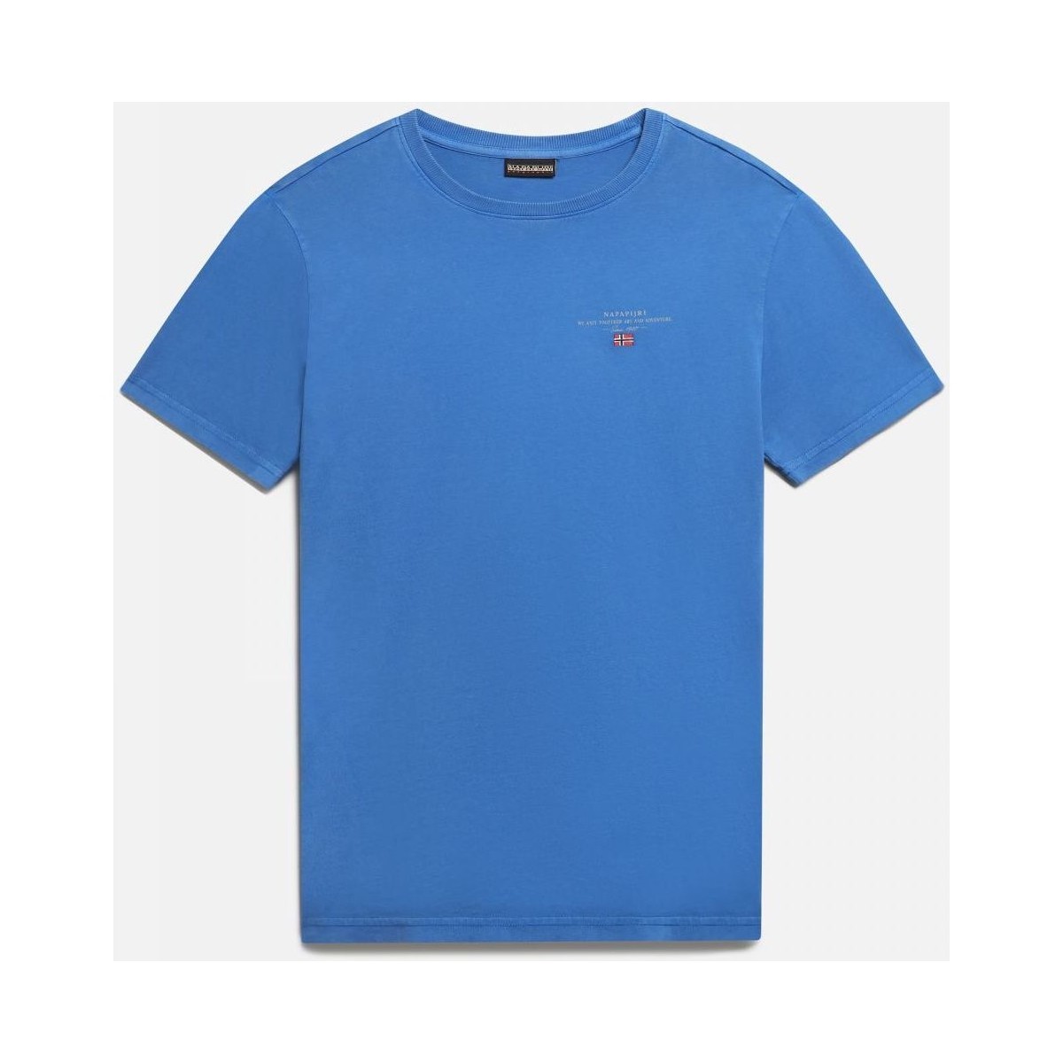 Abbigliamento Uomo T-shirt & Polo Napapijri SELBAS NP0A4GBQ-BC5 SKYDIVER Blu