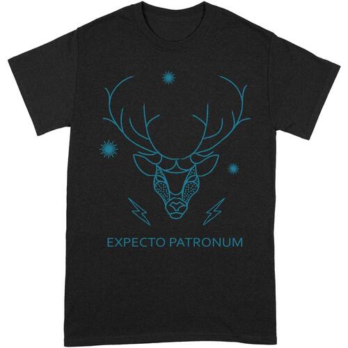 Abbigliamento Uomo T-shirts a maniche lunghe Harry Potter Expecto Patronum Nero