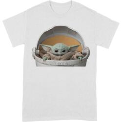 Abbigliamento Uomo T-shirts a maniche lunghe Star Wars: The Mandalorian BI246 Bianco