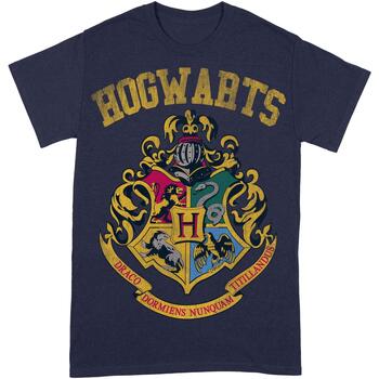 Abbigliamento Uomo T-shirts a maniche lunghe Harry Potter BI324 Blu