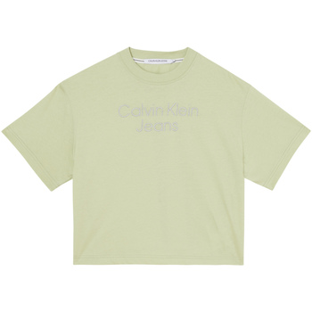 Abbigliamento Donna T-shirt & Polo Calvin Klein Jeans J20J218260 Verde