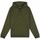 Abbigliamento Uomo Felpe Penfield Sweatshirt à capuche  Hudson Script Verde