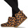 Scarpe Donna Pantofole Cool shoe DAKOTA Multicolore