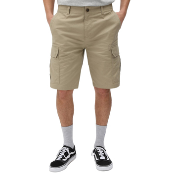Abbigliamento Uomo Shorts / Bermuda Dickies DK0A4XED Beige