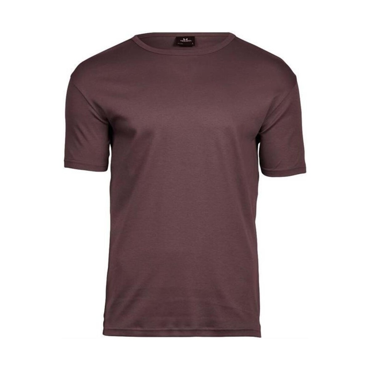 Abbigliamento T-shirts a maniche lunghe Tee Jays Interlock Viola