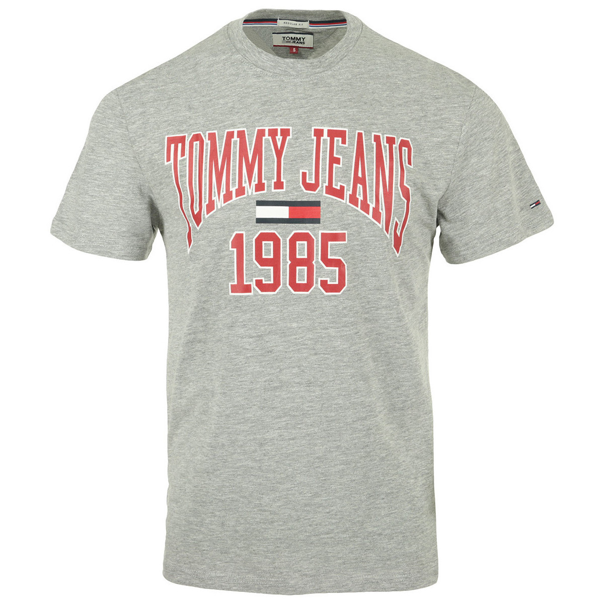 Abbigliamento Uomo T-shirt maniche corte Tommy Hilfiger Collegiate Tee Grigio