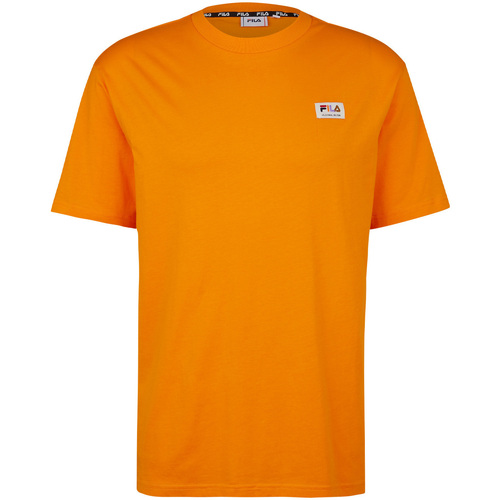 Abbigliamento Uomo T-shirt & Polo Fila FAM0025 Arancio