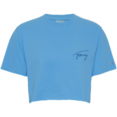 Abbigliamento Donna T-shirt & Polo Tommy Jeans DW0DW12852 Blu