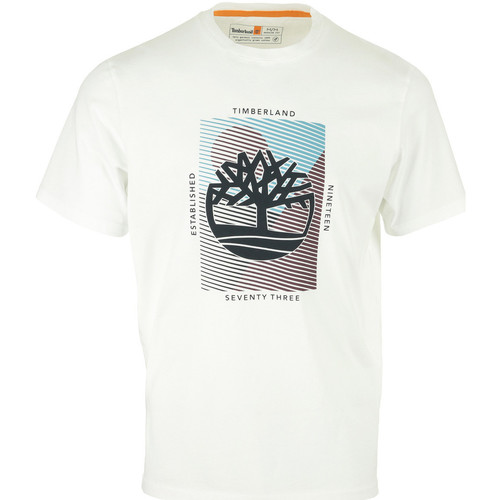 Abbigliamento Uomo T-shirt maniche corte Timberland Graphic Branded Tee Bianco