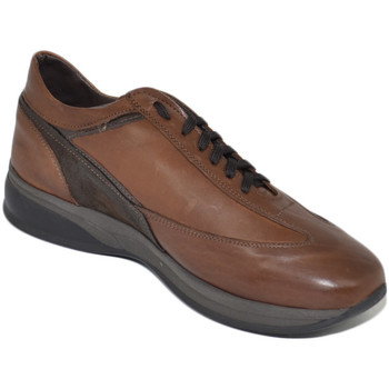 Scarpe Uomo Sneakers Malu Shoes Scarpe uomo calzature linea comfort eleganti marroni cognac mad Multicolore