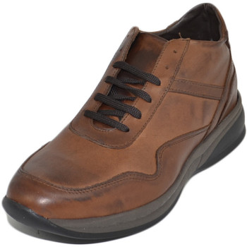 Scarpe Uomo Sneakers Malu Shoes Scarpe uomo polacchino comfort passeggio eleganti marrone cogna Multicolore