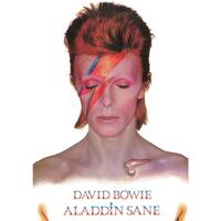 Casa Poster David Bowie TA8336 Multicolore