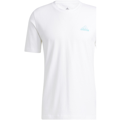 Abbigliamento Uomo T-shirt & Polo adidas Originals HC6887 Bianco